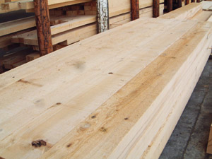 ��ɼ-������ɼ������ɼ Western and Mountain Hemlock