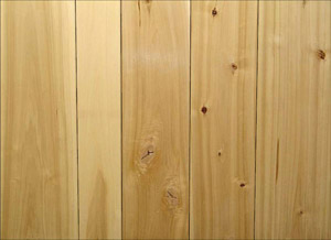 ��ľ Cotton Wood
