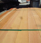 ������ Douglas Fir